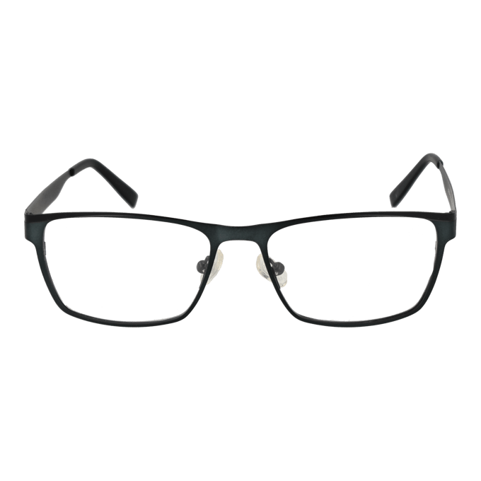 Citizen Brilframe CTZ1704 151 53
