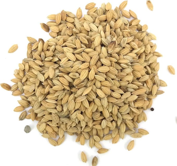 Vogelvoer  15 kg | Konacorn Paddy Rijst