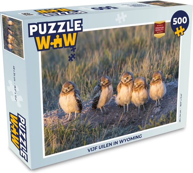 Puzzel Vijf uilen in Wyoming - Legpuzzel - Puzzel 500 stukjes