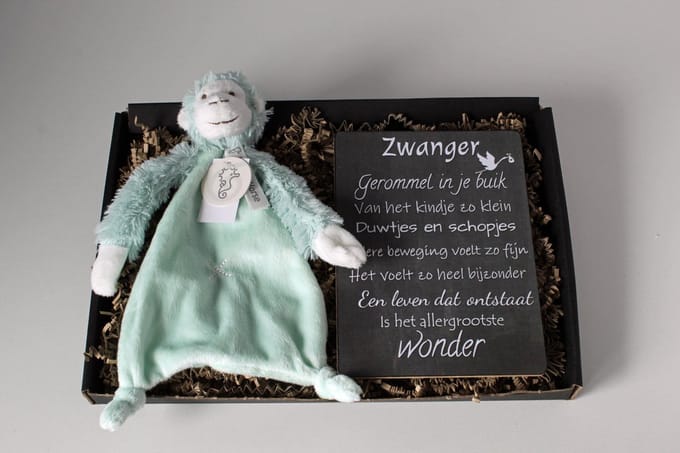Brievenbus cadeau Monkey Micky - knuffel doek - cadeau zwangerschap