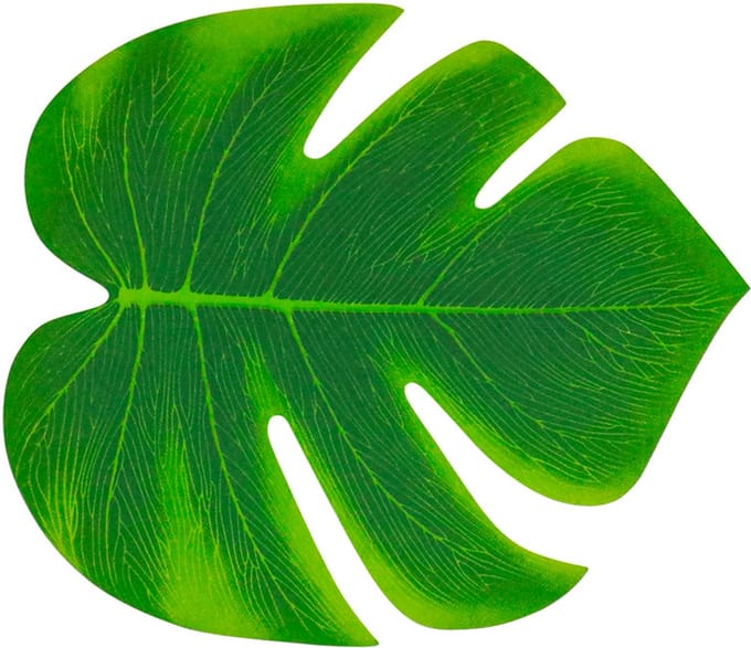 CHAKS - 4 Groene tropische bladeren 21 x 18 cm