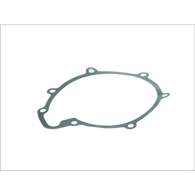 Pakking, waterpomp DT Spare Parts 3.16100