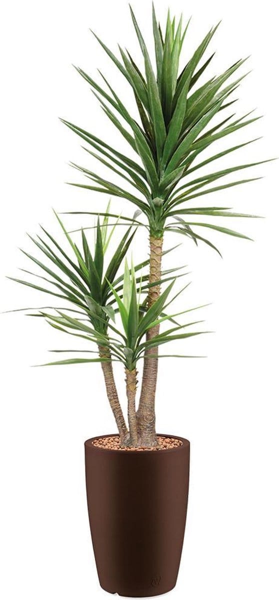 HTT - Kunstplant Yucca in Genesis rond bruin H200 cm