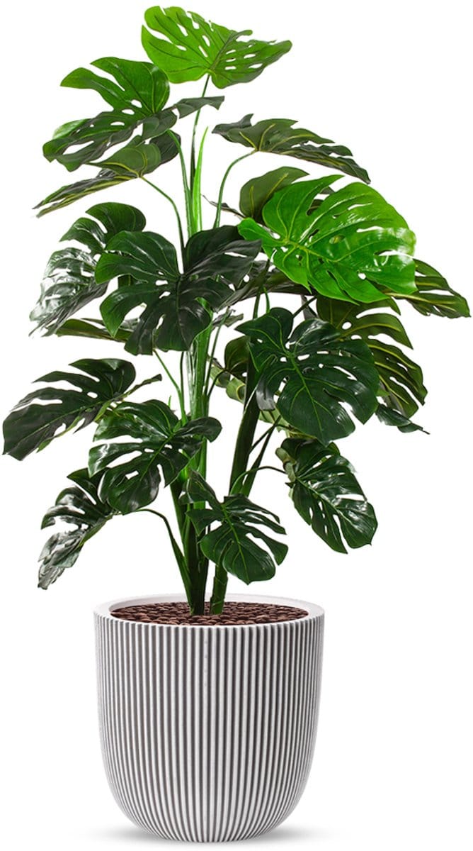 Kunstplant Monstera in Planter Ball groove ivoor H135 cm