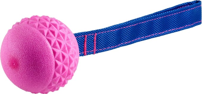 Vadigran Tpr Bal Met Touw Red Frutti - Hondenspeelgoed - Aardbei Ø6.5 cm Rood