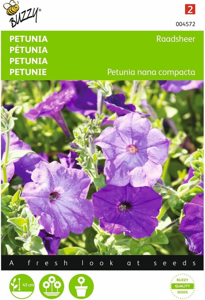 2 stuks Petunia Raadsheer blauw