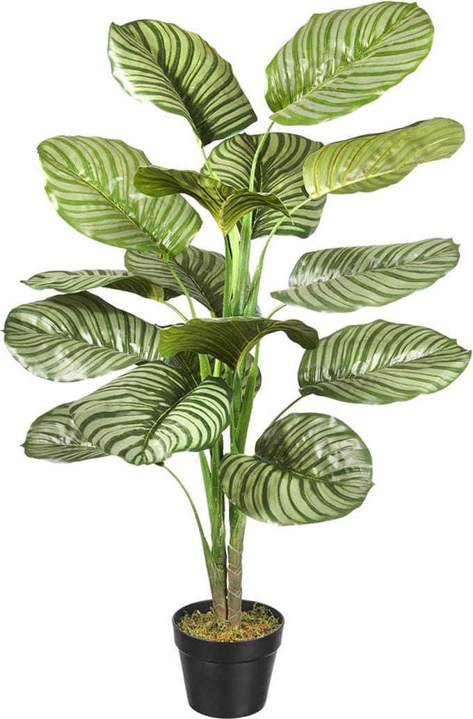 Kunstplant Calathea H100cm - HTT Decorations kunstplanten
