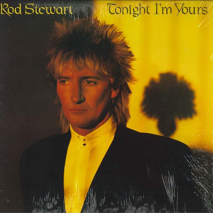 Disque vinyle ROD STEWART Tonight Im Yours BSK3602 WARNER BROS 1981 US Rock Occasion