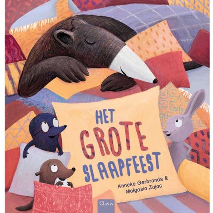 Het Grote Slaapfeest - Anneke Gerbrands