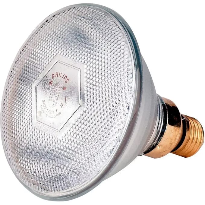 Philips - Warmtelamp E 175w Wit Energiebesparend