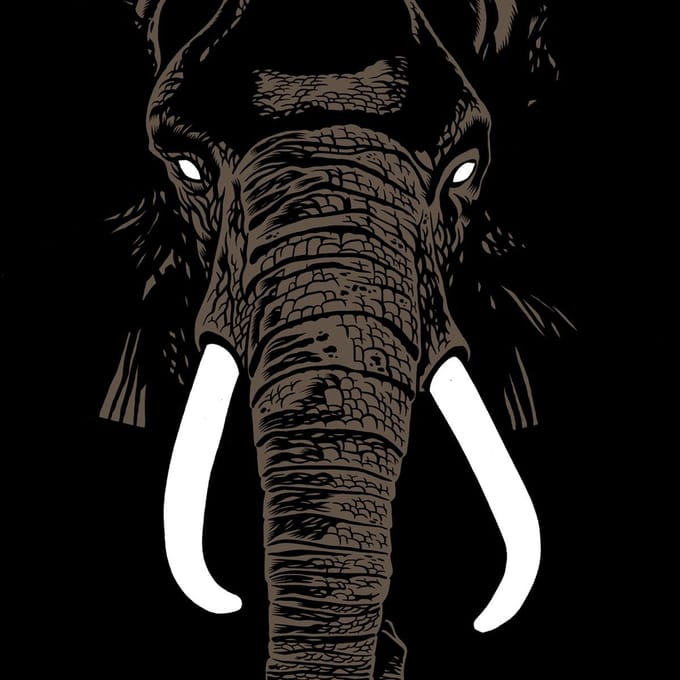 Palm Unit - Don't Buy Ivory Anymore! (CD)