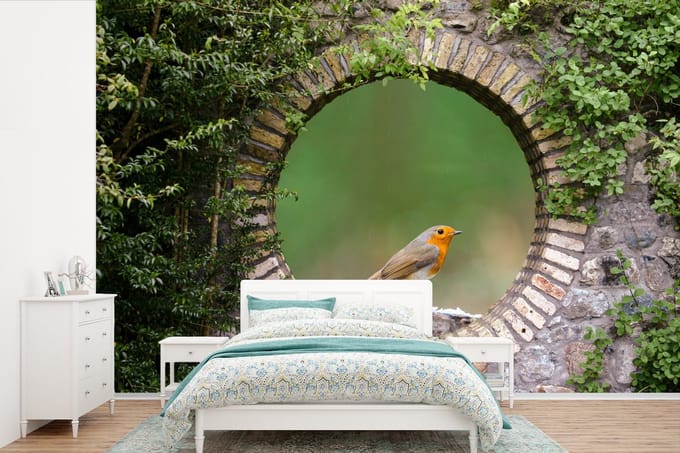 Behang - Fotobehang Vogel - Doorkijk - Roodborstje - Breedte 525 cm x hoogte 350 cm