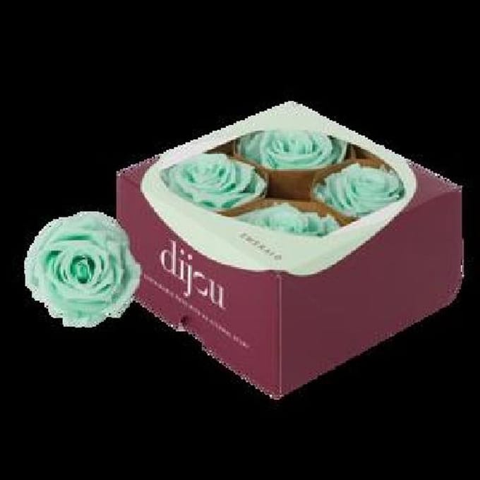 4x Dc pres.rozen mint 0572c