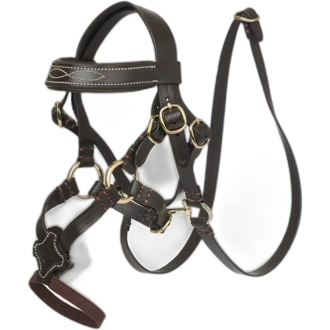 Kruisling voor knuffels LeMieux Toy Pony