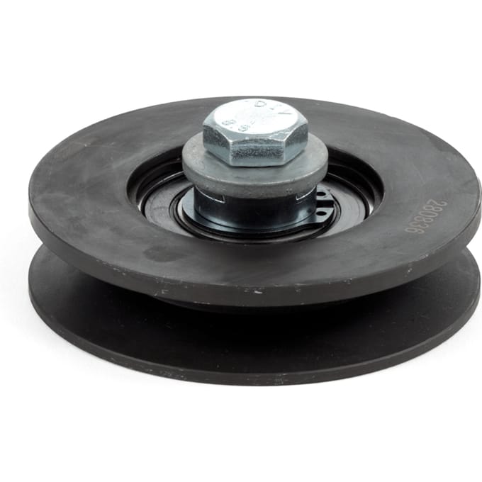 Idle speed screw