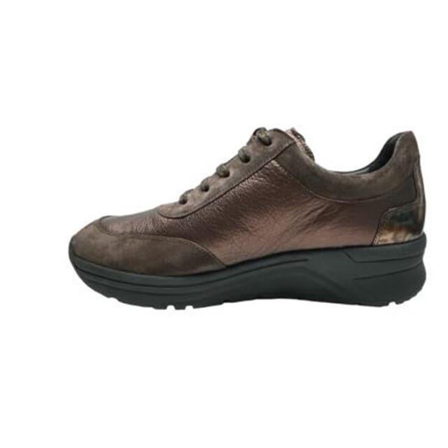 Solidus 46022 holly 022