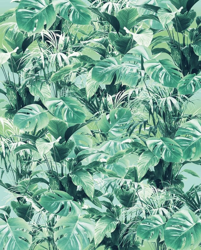 Fotobehang - Evergreen 200x250cm - Vliesbehang