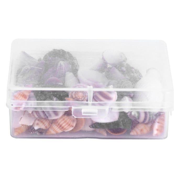 Sieraden Craft DIY Schelp Zeeslak Set Natuurlijke Schelp Conch Bruiloft Huisdecoratie gray