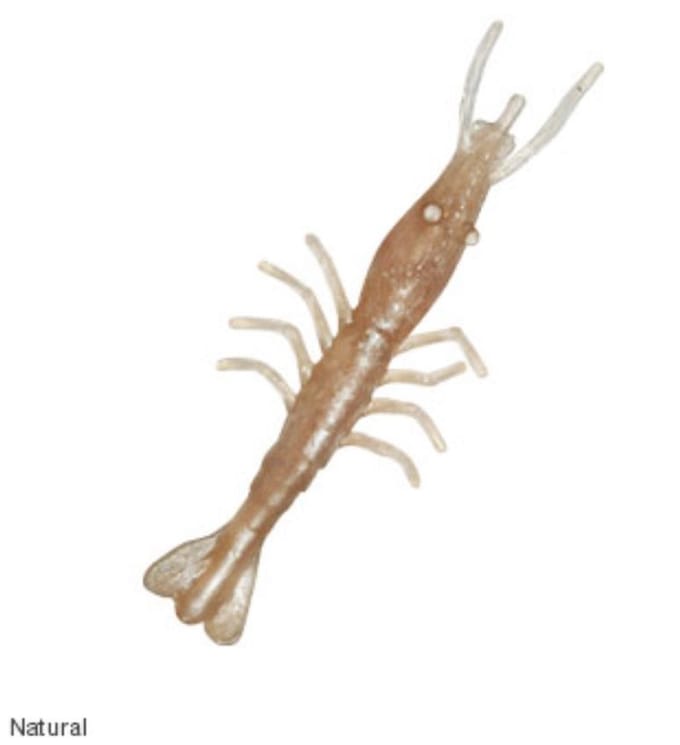 Zman Soft Lure Geurende Shrimpz 3 Inch 5/Pack Natuurlijk (3229) white