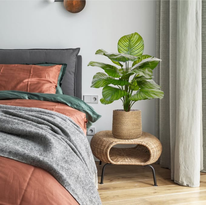 Calathea Fasciata kunstplant 70cm