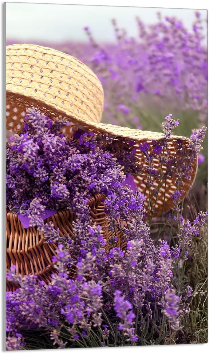 TMK ArtDeko - Snijplank - Glas - 30x52 cm - Lavendel