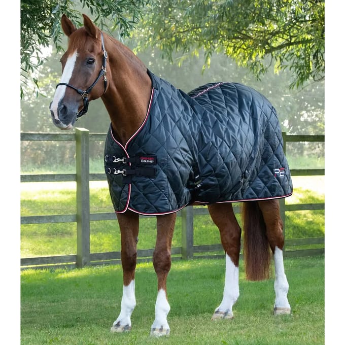 Paardendeken Premier Equine 100g