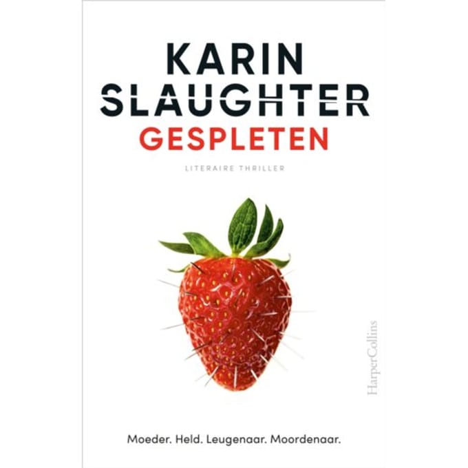 Gespleten - Karin Slaughter