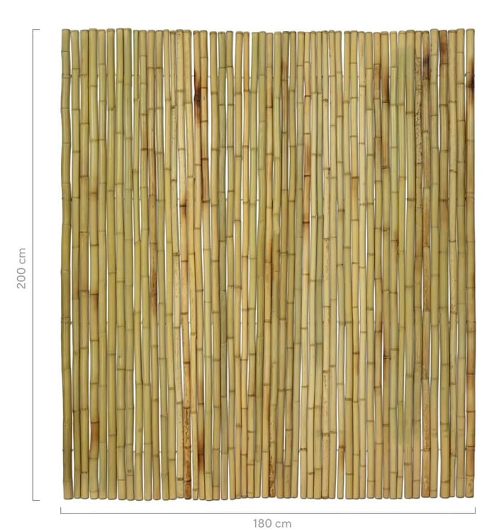 Masters of Bamboo® Bamboemat Large - 180 x 200 cm - Naturel - Bamboe schutting op rol - Bamboe mat