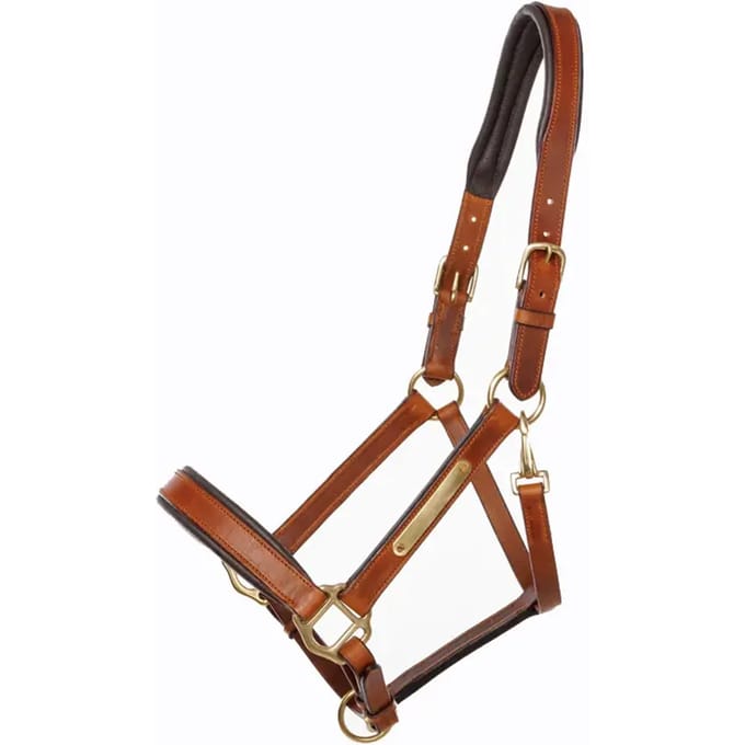 Halsband voor paard Kavalkade Cinta