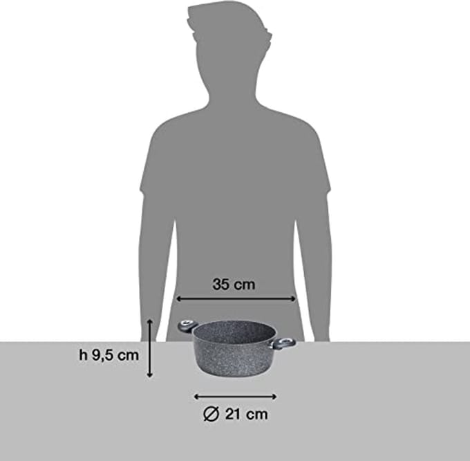 Braadpan met Antiaanbaklaag voor Inductie - Diameter 20 cm