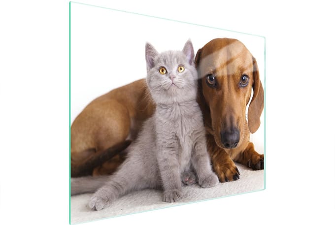 TMK ArtDeko - Snijplank Glas - 52x40cm - Dierenmotief - Hittebestendig - Antislip