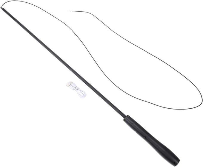 Kattenspeelstok - Interactieve hengel - Spelen met kat - Telescopisch ontwerp - 81 cm - Zwart