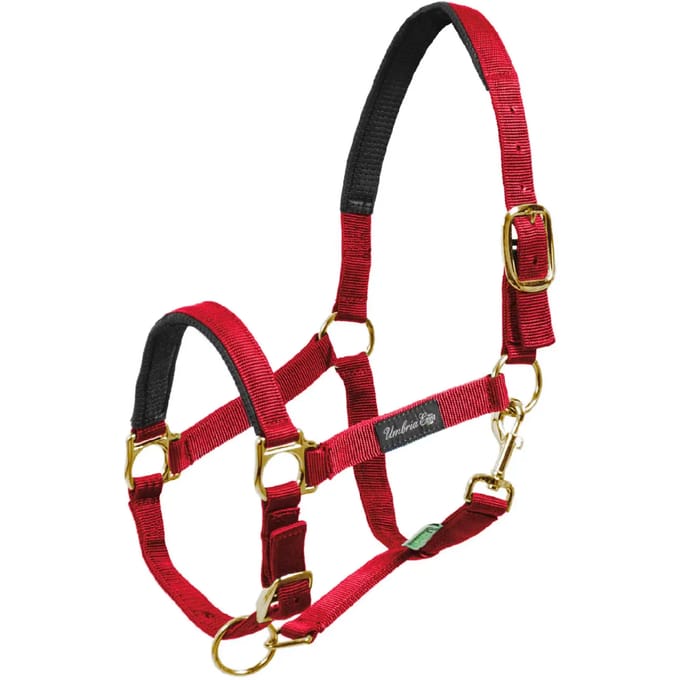 Nylon halster voor paard met neopreen versterking Umbria Equitazione