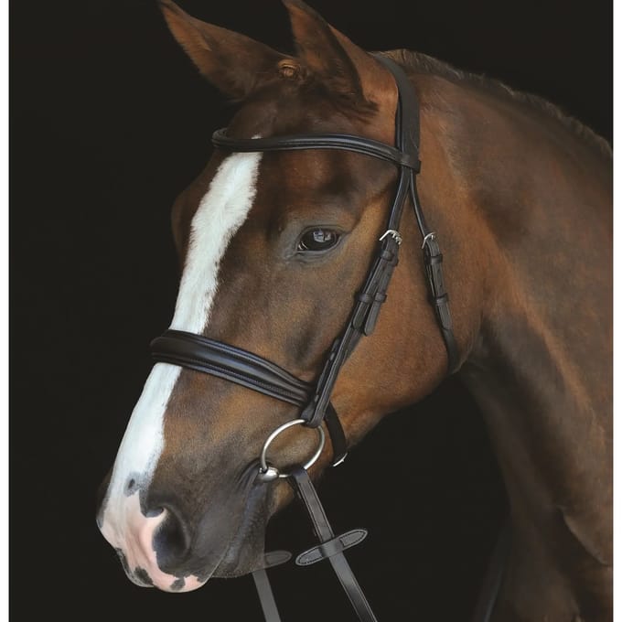 Hoofdstellen Weatherbeeta Collegiate Mono Crown