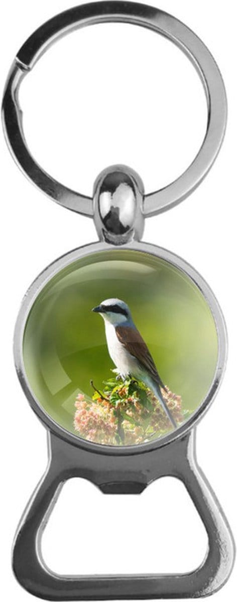 Bieropener Glas - Vogel