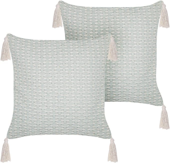 HAKONE - Set van 2 kussens - Mintgroen - 42 x 42 cm - Polyester