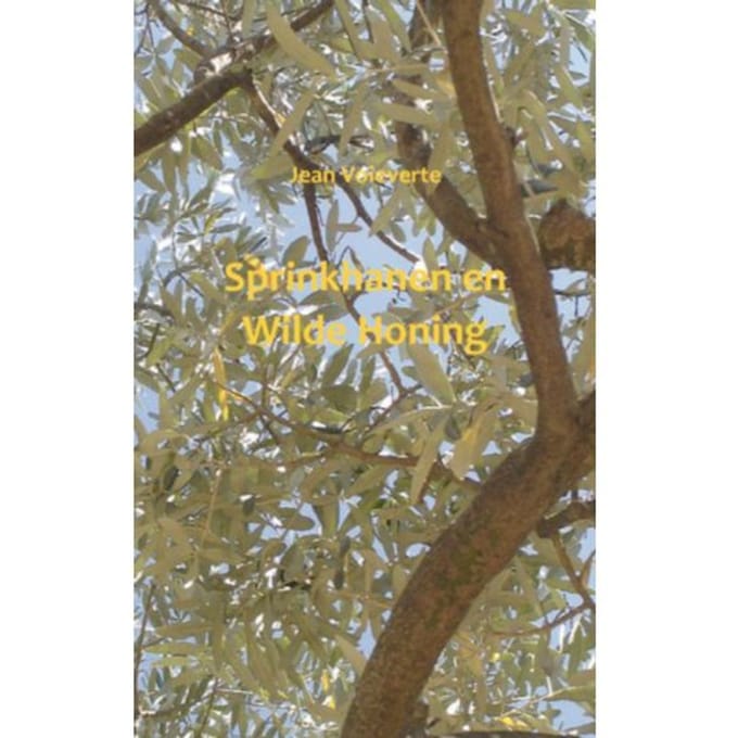 Sprinkhanen En Wilde Honing - Jean Voieverte