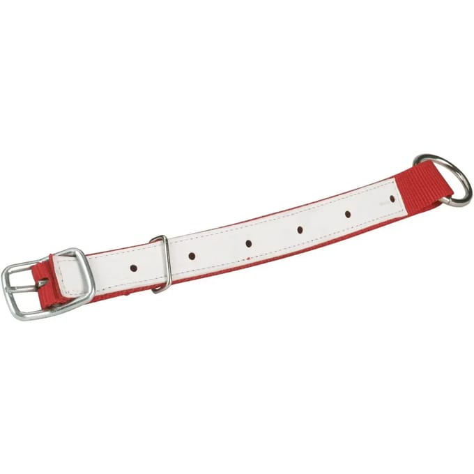 Nylon halsband voor schaap en geit Kerbl