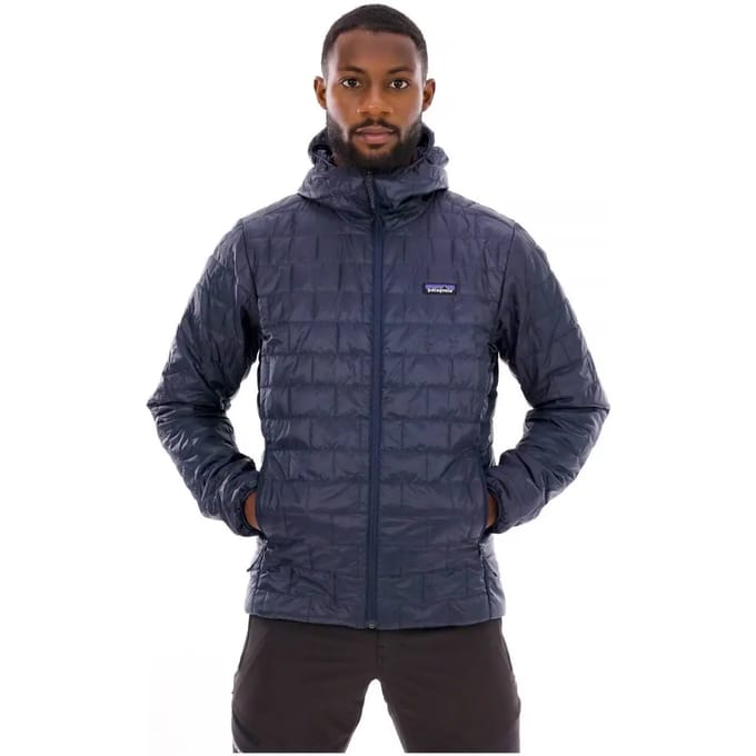Patagonia Nano Puff Hoody Jas blauw