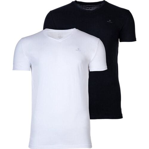 Heren Ondergoed V-HALS T-SHIRT 2P GANT M