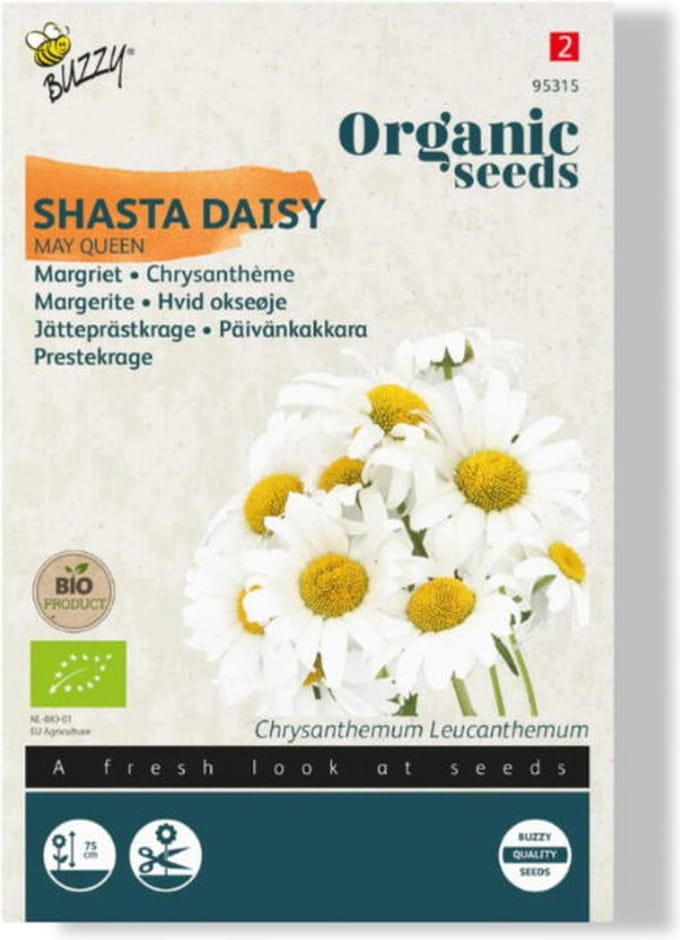 Buzzy® Organic - Chrysanthemum - Margriet May Queen - (BIO)