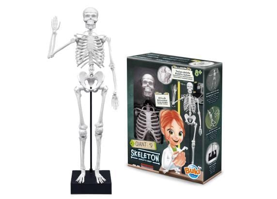 Buki Gigantisch Skelet 45cm Wetenschap en technologie