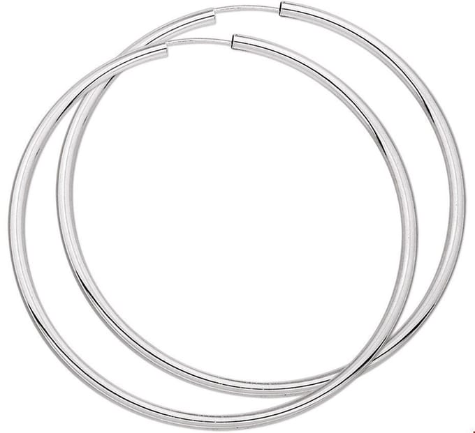 TFT Oorring Ronde Buis Zilver Glanzend 2.5 mm x 60 mm