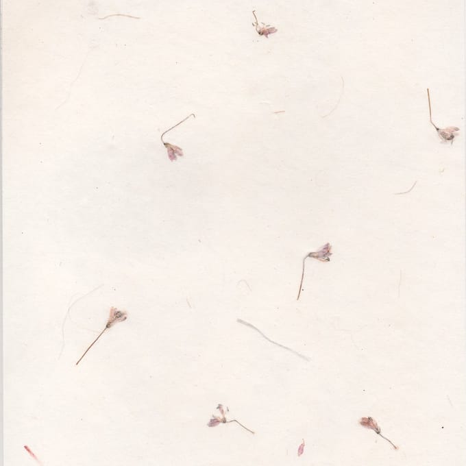 Set van 25 vel Tree-Free papier met bloemenmix, 90 grs