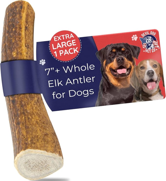 Honden Gewei - Kauwsieraad Natuurlijk - Langdurig Kauwen - Wild Gevangen - Extra Groot