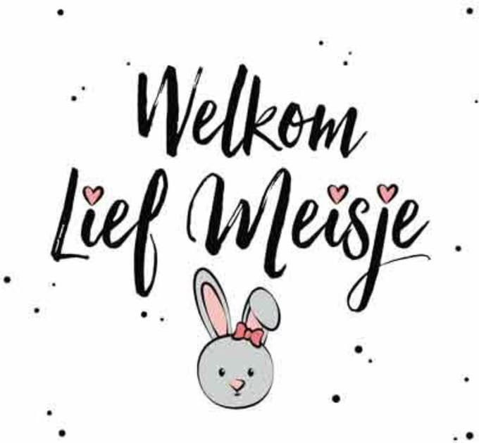 Wenskaart Geboorte - Welkom Lief Meisje - Met Envelop