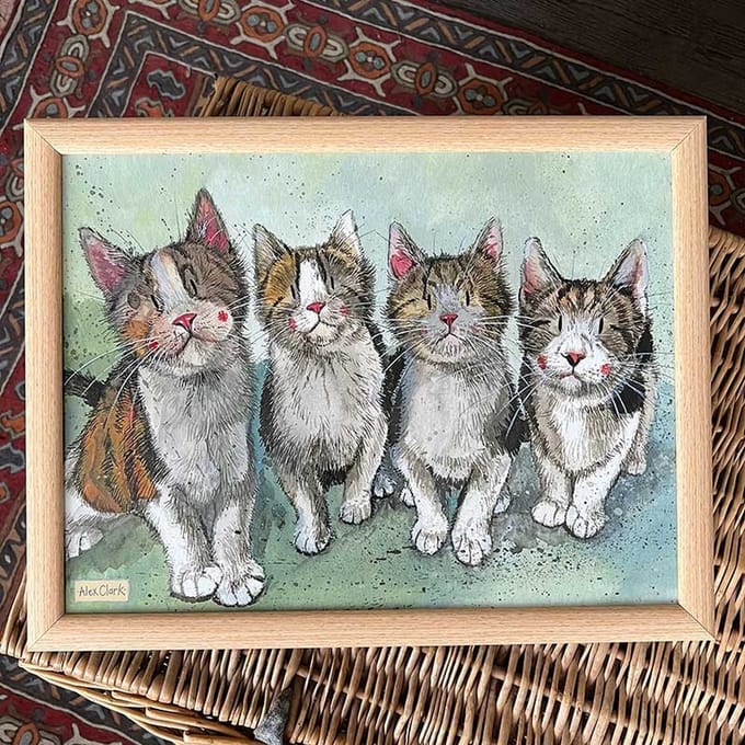 Alex Clark Schootkussen Kat ~ The Fab Four