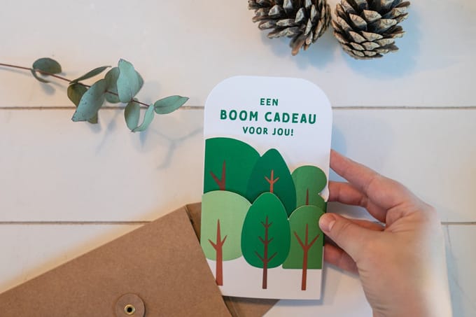 Duurzaam cadeau: geef een boomcadeau
