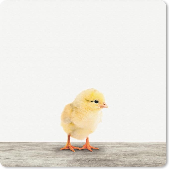 Muismat 20x20 cm - Mousepad Dieren - Kuiken - Geel - Muismatten