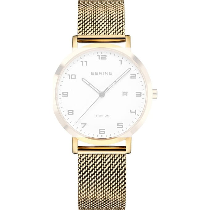 Bering PT-A18634S-BMGX Titanium band